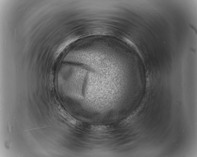 X0000102781019200809021047