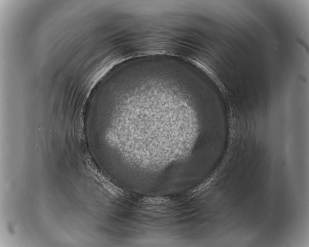 X0000102781023200809021047