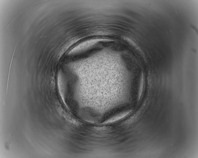 X0000102781025200809021047