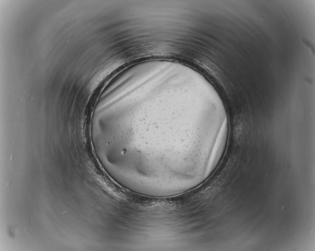 X0000102781026200809021047