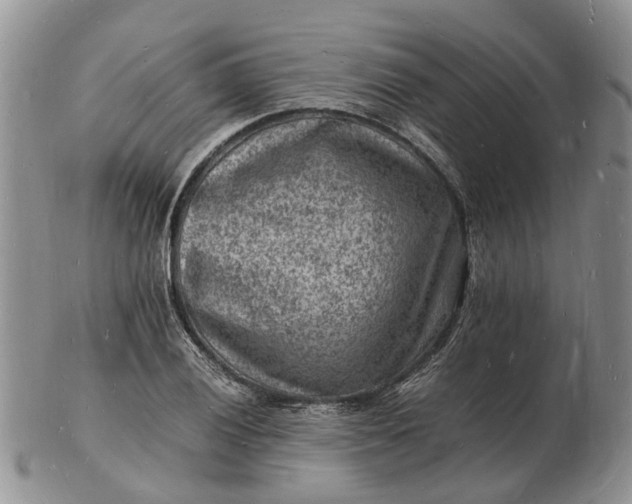 X0000102781028200809021047