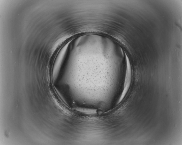 X0000102781030200809021047