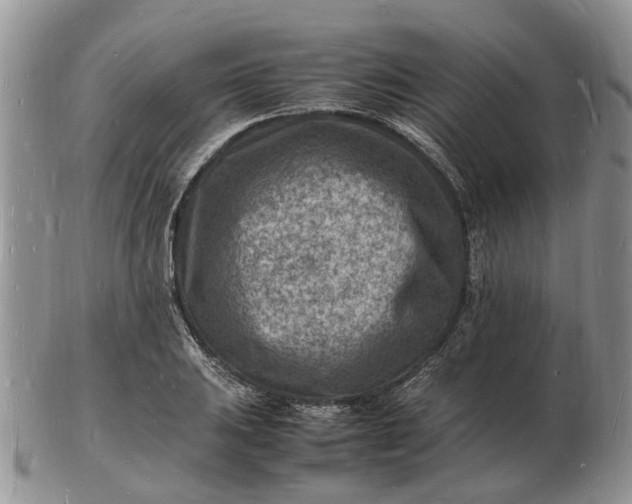 X0000102781031200809021047