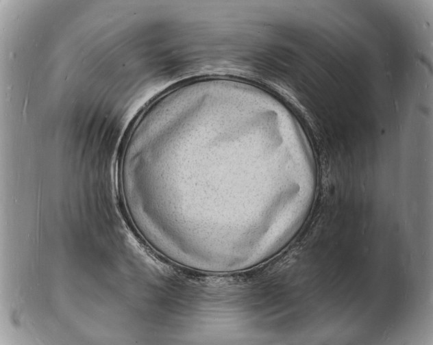 X0000102781032200809021047