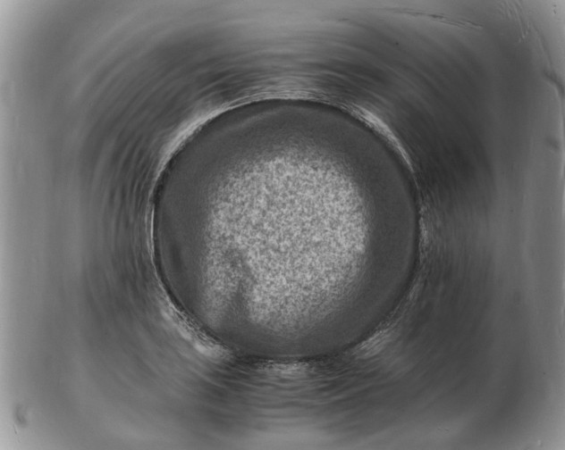 X0000102781035200809021047