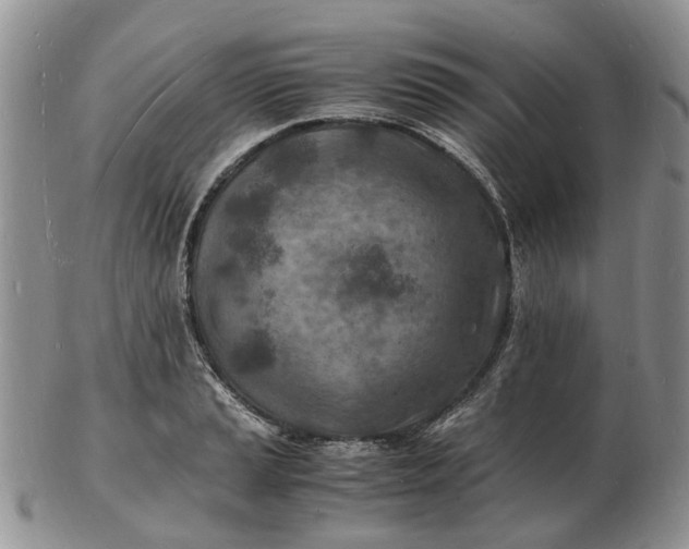 X0000102781037200809021047