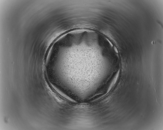 X0000102781040200809021048