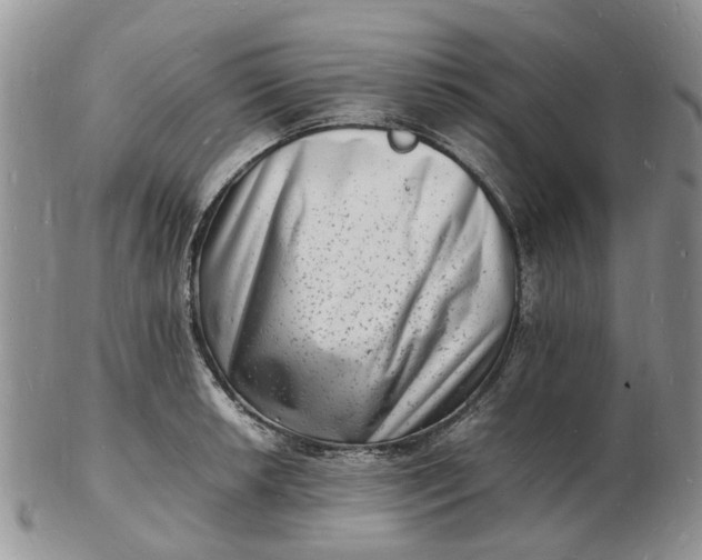 X0000102781042200809021048