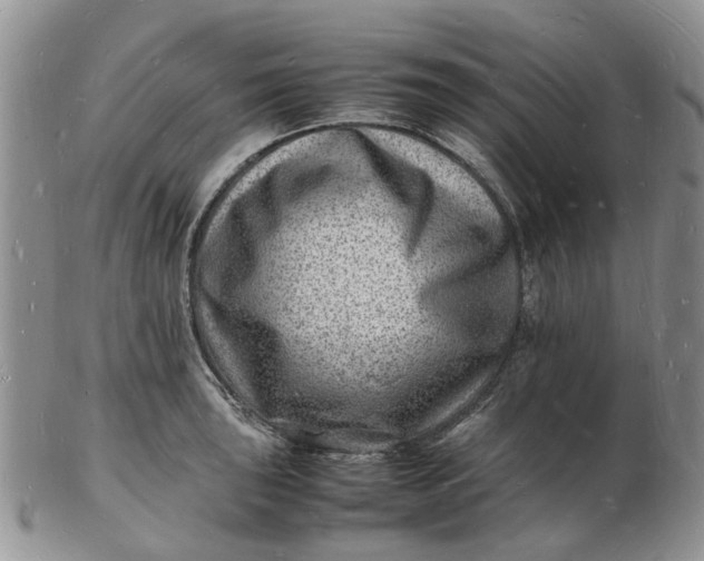 X0000102781043200809021048