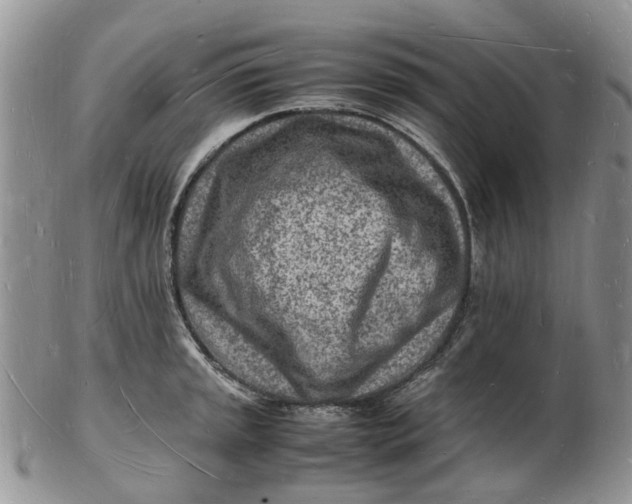 X0000102781045200809021048