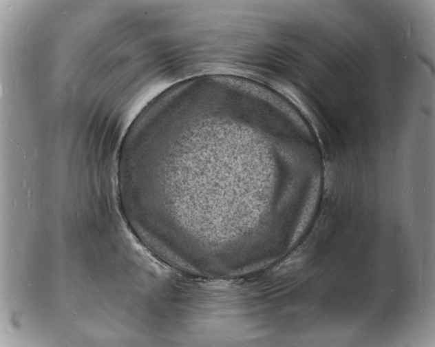 X0000102781048200809021048