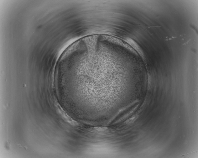 X0000102781052200809021048