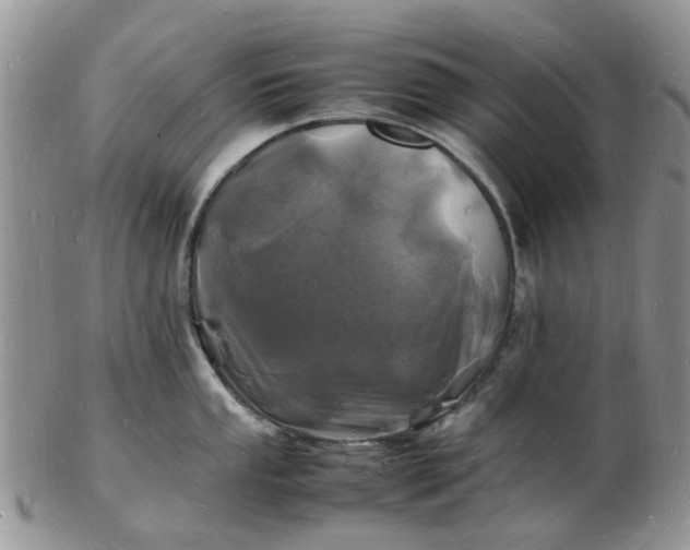 X0000102781053200809021048