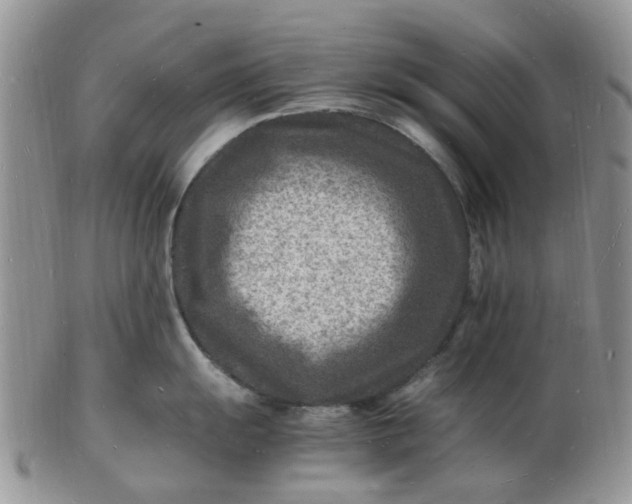 X0000102781055200809021048