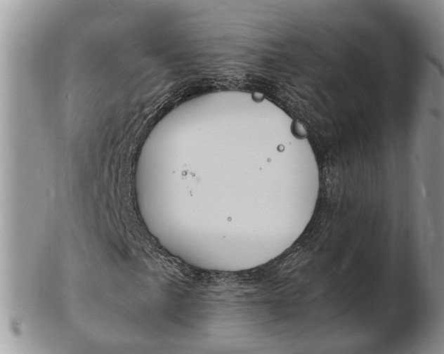 X0000102781057200809021047