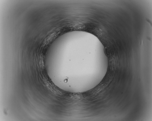 X0000102781058200809021047