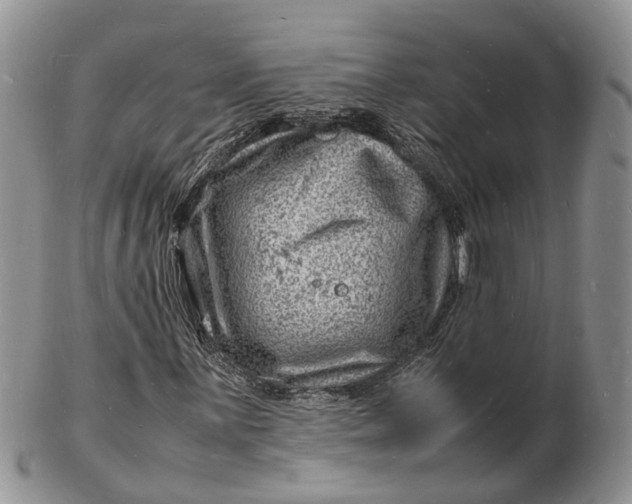 X0000102781059200809021047