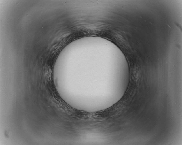 X0000102781061200809021047