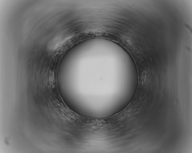 X0000102781062200809021047