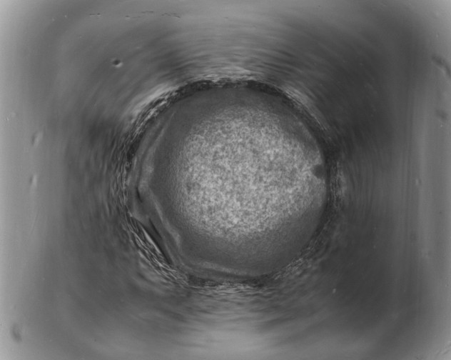 X0000102781063200809021047