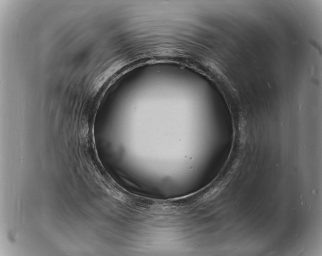 X0000102781065200809021047