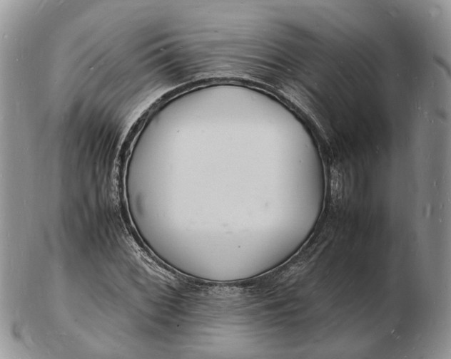 X0000102781068200809021047