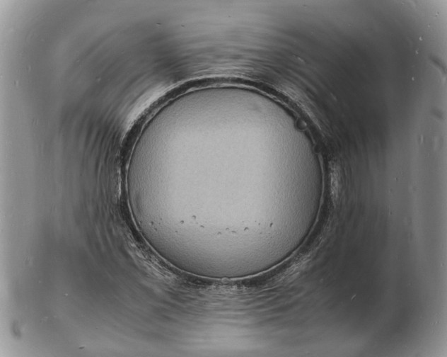 X0000102781069200809021047