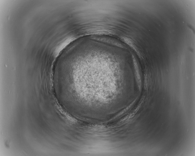 X0000102781071200809021047