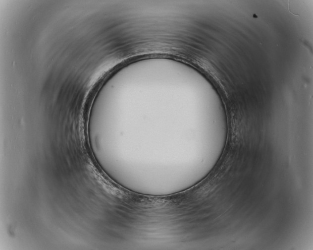 X0000102781072200809021047