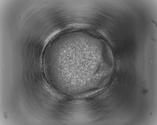 X0000102781074200809021047