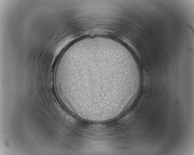 X0000102781075200809021047