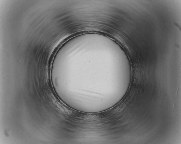 X0000102781076200809021047