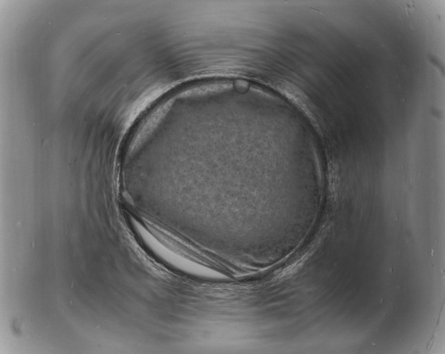 X0000102781077200809021047