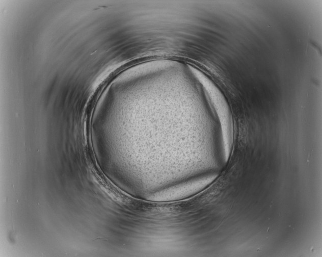 X0000102781078200809021047