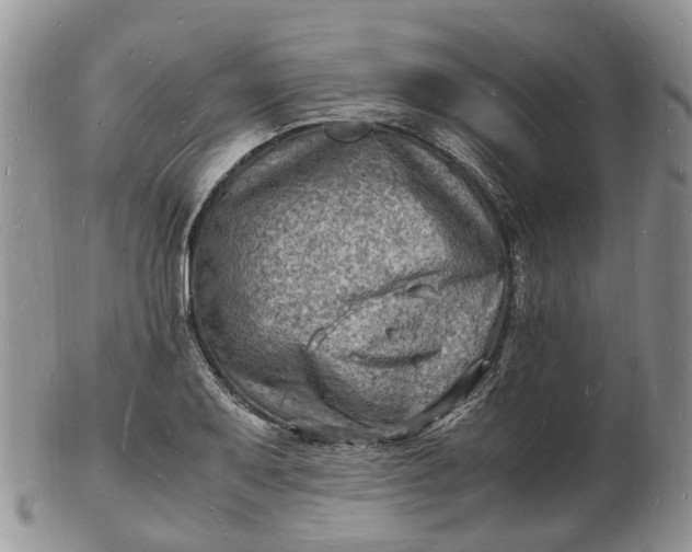 X0000102781079200809021047