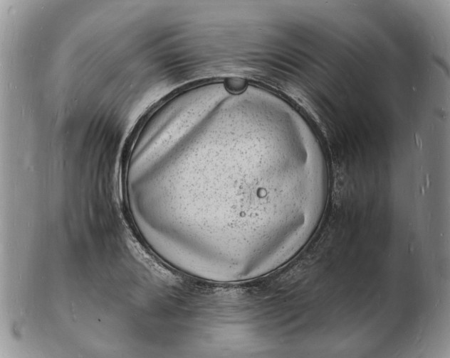 X0000102781080200809021047