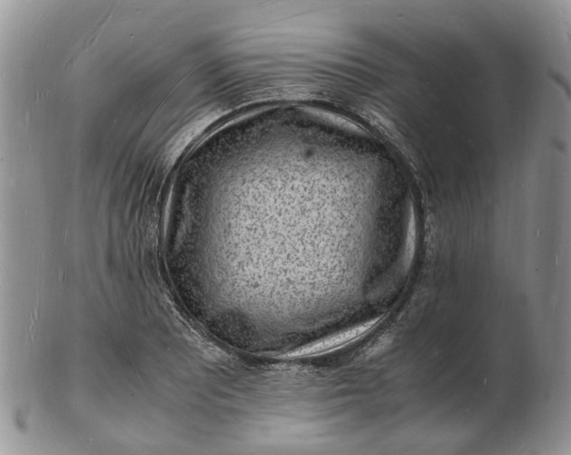 X0000102781081200809021047