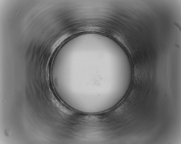 X0000102781082200809021047