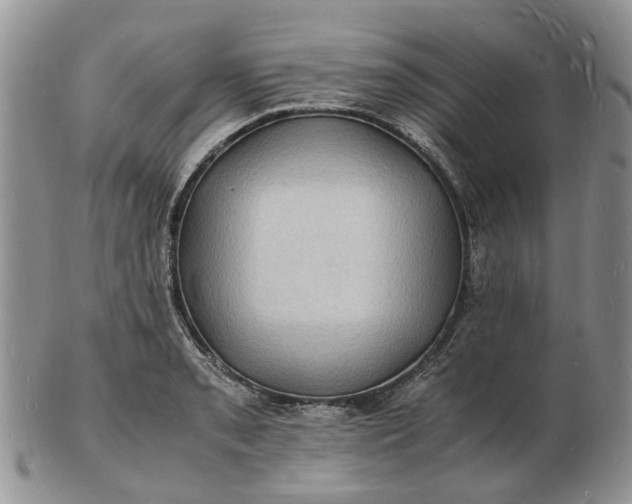 X0000102781085200809021047