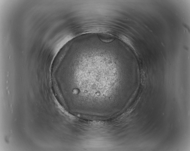 X0000102781087200809021047