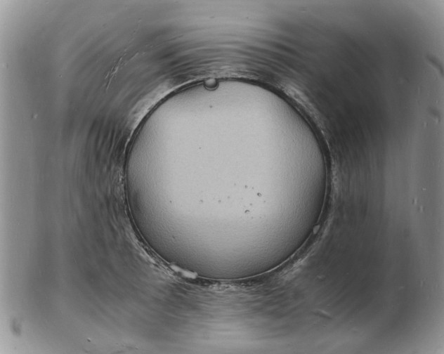 X0000102781089200809021047