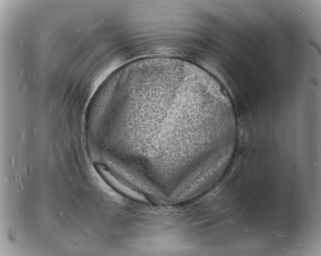 X0000102781091200809021047