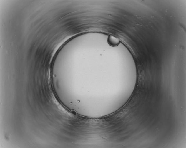 X0000102781092200809021047