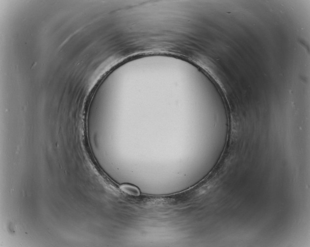 X0000102781093200809021047