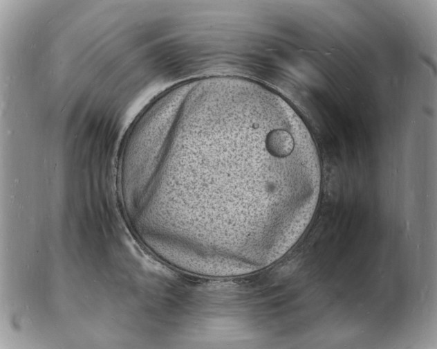 X0000102781094200809021047