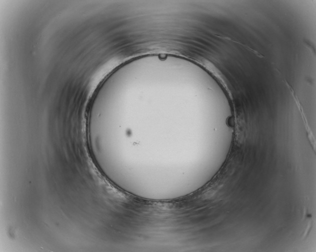 X0000102781096200809021047