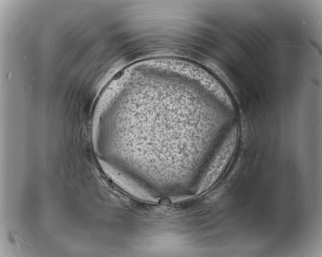 X0000102781097200809021047