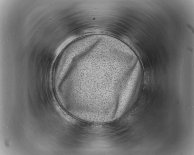 X0000102781098200809021047