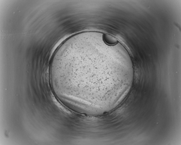 X0000102781100200809021046