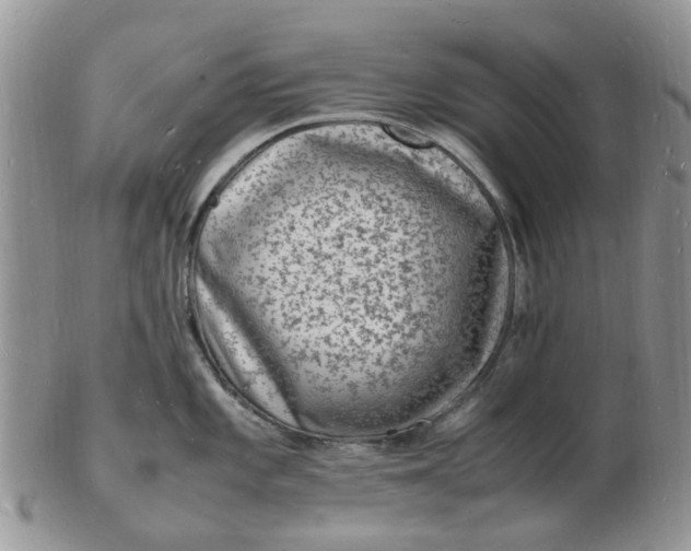 X0000102781101200809021046